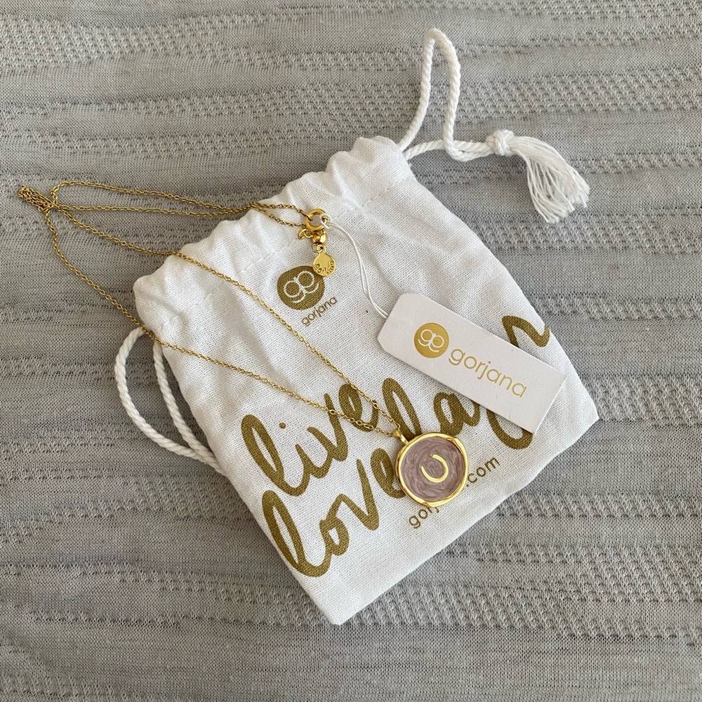 Gorjana horseshoe charm necklace.
